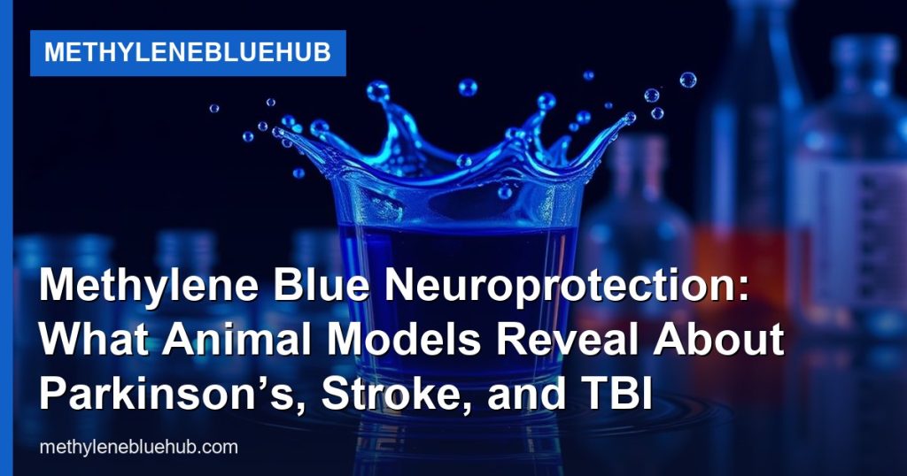Methylene Blue Neuroprotection: What Animal Models Reveal About Parkinson’s, Stroke, and TBI - MethyleneBlueHub